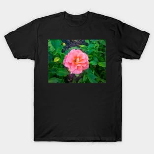 Pink Rose T-Shirt